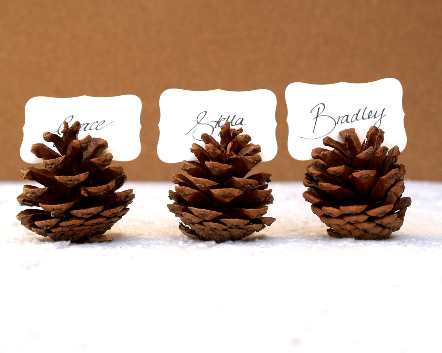 Silver Pine Cone Escort Cards, Woodland Wedding, 20 Name Place Seating Table Plan Rustic Country Theme Autumn Fall Winter Christmas White