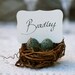 Nest Place Cards Wedding 10 Spring Woodland Seating holder Table Rustic Favor Easter Turquoise Blue Pastel Shabby Chic Bird Baby Shower