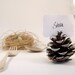 Silver Pine Cone Escort Cards, Woodland Wedding, 20 Name Place Seating Table Plan Rustic Country Theme Autumn Fall Winter Christmas White