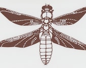 Dragonfly Art - Papercut Original Artwork