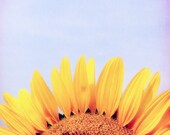 Sunflower Photograph, Yellow, Happy, Sunny, Mothers Day 8x8 Metallic Print by Kerry