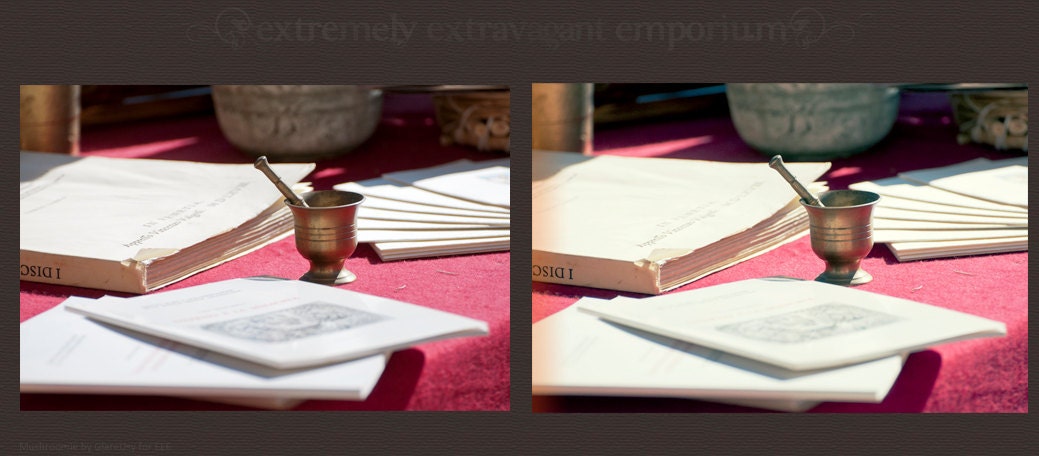 Renaissance - Photoshop action