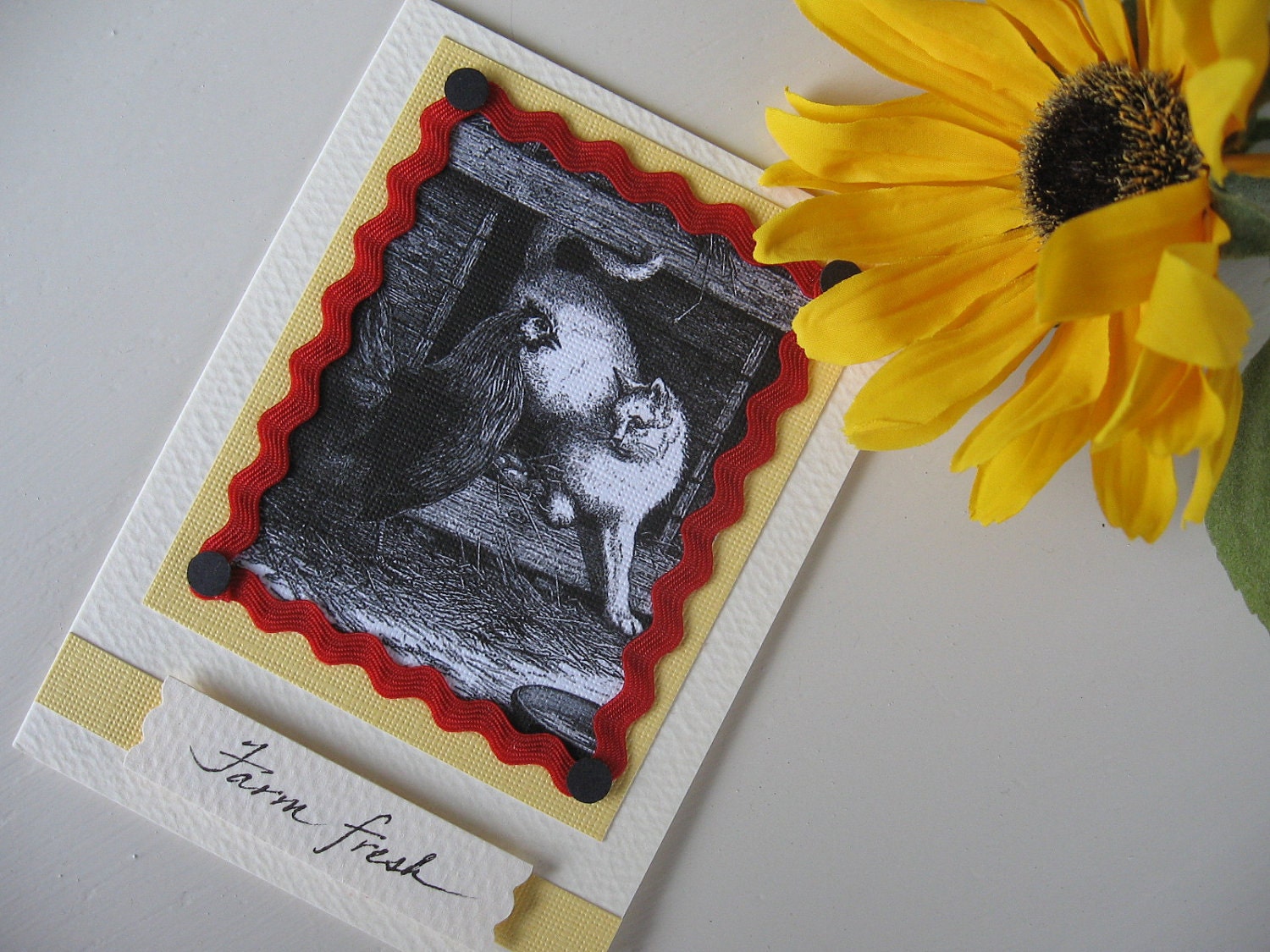 Farm Fresh Barnyard Animals Rooster & Cat Note Card, 3 1/2 x 4 7/8
