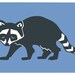 Raccoon - 2 Color Limited Edition Screen Print