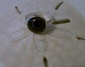 Black and Gray Lace Agate Circlulare Bezel Set Stone and Sterling Silver Ring 6.5