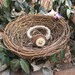Fallen Tree Eco Friendly Upcycled Branch Slice Bangle Bracelet