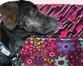 GreatBigBeautifulDog Collar Cozies - So Purple-y in 5 Sizes