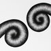 Sprial Out, Original Pen and Ink Drawing, Abstract Design by Keely Finnegan