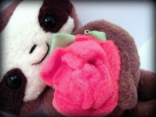 Cedric The Baby Sloth Plushie With Rose  (magnetic)