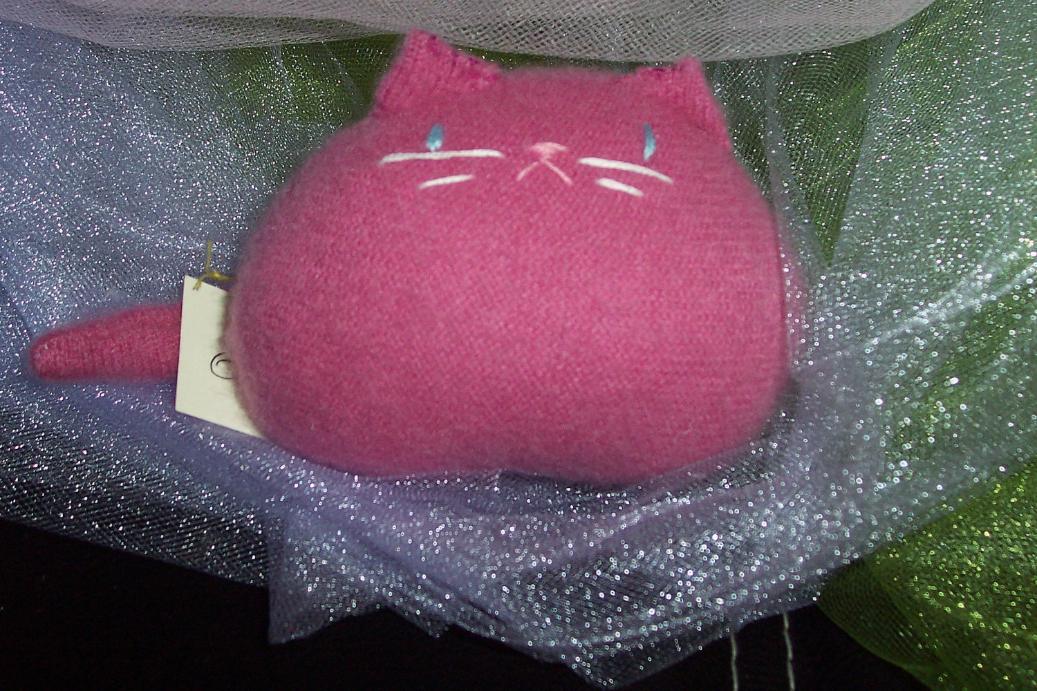 Raspberry  Kitten