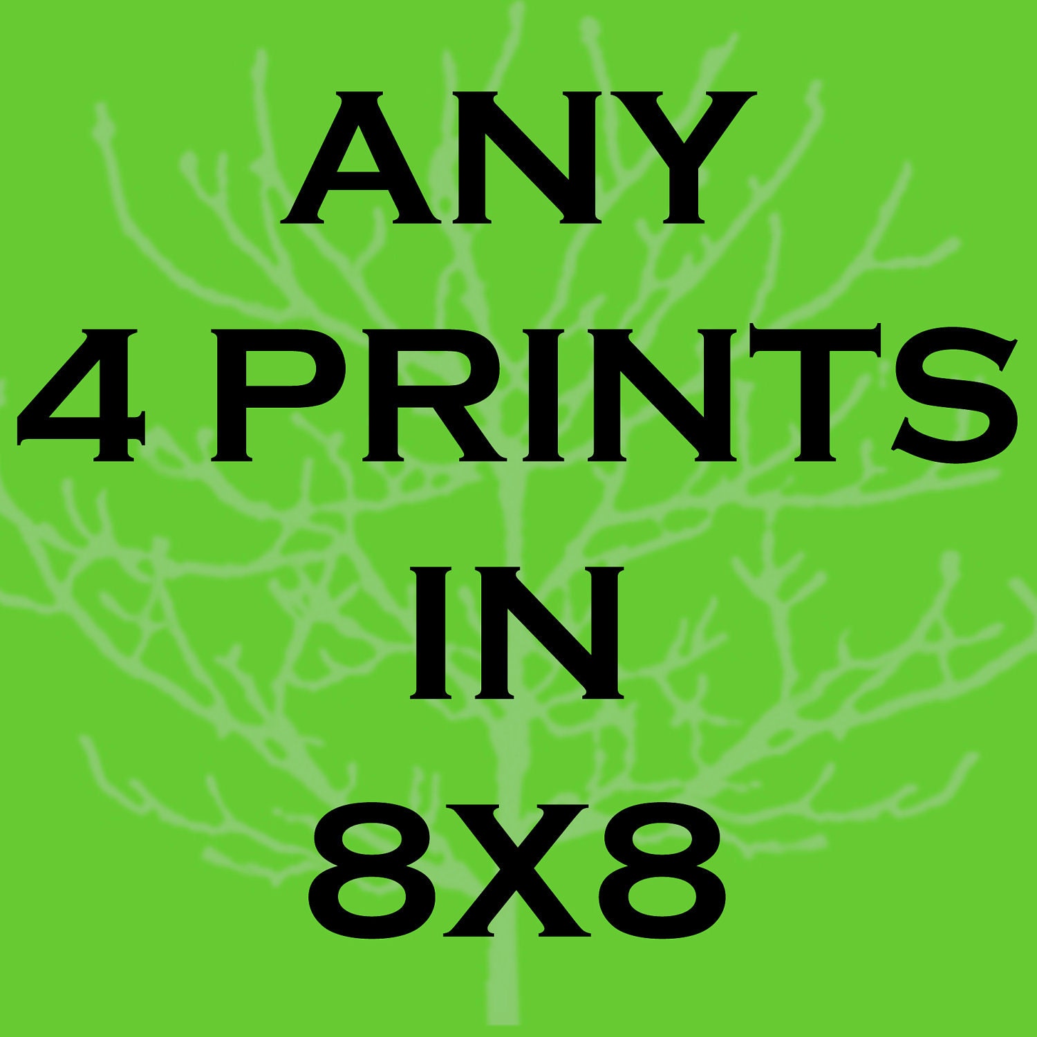 Any Four Prints 8x8 - Photography custom size print set deal promo promotion photograph home nursery room decor wall art gift gifts office