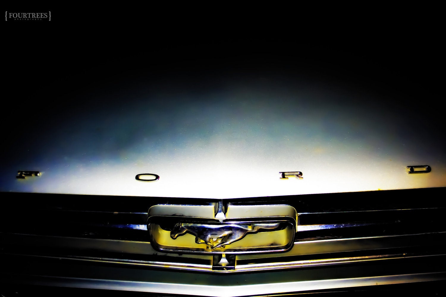 Mustang Sally - 8x12 1960's Ford mustang photography car print classic photo photograph hood home office shop garage decor wall art grill