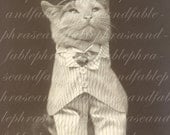 Dapper Cat 064 Steampunk Suit Formal Posh Feline Digital Graphic Transfer Download LOL Funny