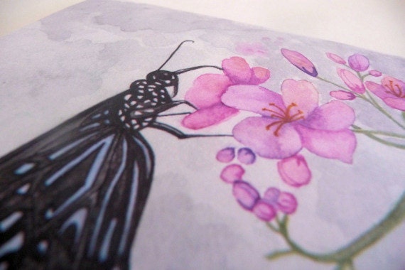 Watercolor butterfly reprint greeting card set of 5 gift idea
