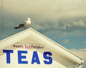 Seaside Seagull and the TEAS Sign - Fine Art 12'' x 12'' Photographic Print