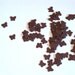 Mini Butterfly Confetti Brown Butterfly Punch Outs - Set of 100
