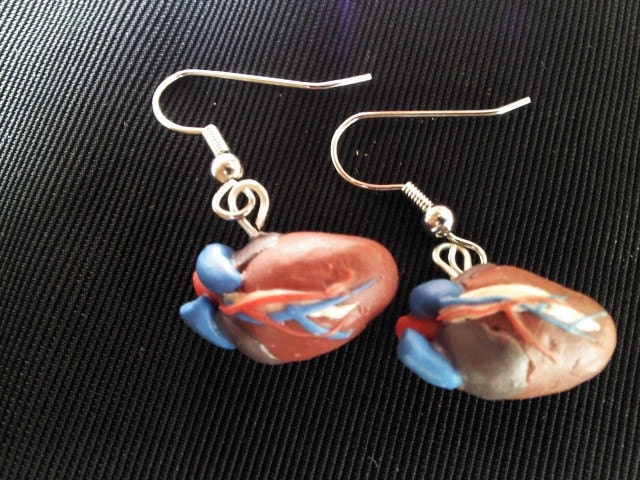 Anatomical heart earrings