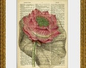 LOTUS BLOSSOM recycled book page art print - an upcycled antique dictionary page with a retooled antique flower illustration - home decor