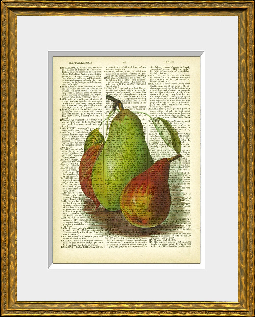 PEARS recycled book page art print - an antique dictionary page with a retooled antique fruit illustration - upcycled kitchen vintage