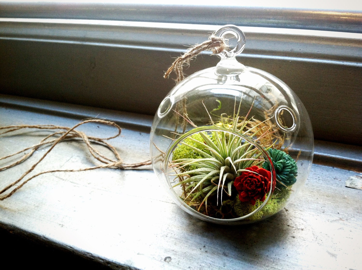 Mini Hanging Air Plant Terrarium with Painted Balsa Wood Flowers (4 inch diameter)
