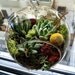 Hanging Succulent Terrarium (6 inch diameter)