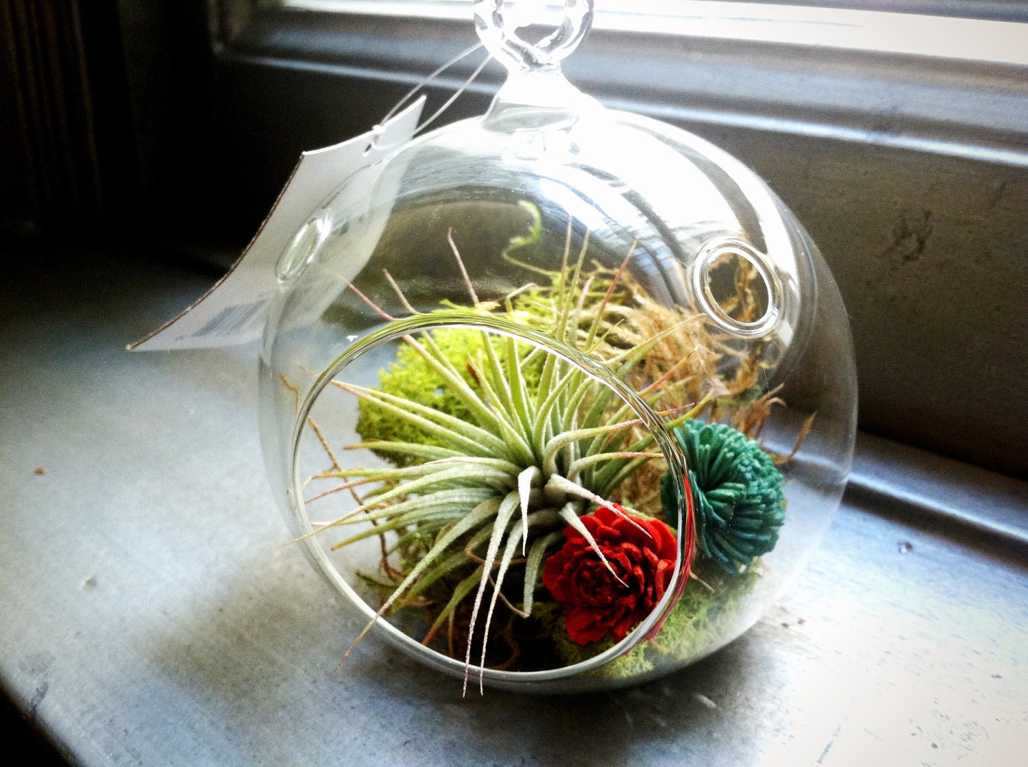 Mini Hanging Air Plant Terrarium with Painted Balsa Wood Flowers (4 inch diameter)