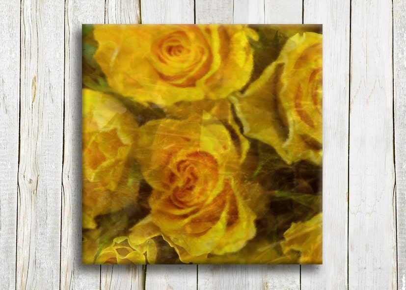 Yellow roses, Framed art, 12"/12", (30/30 cm)