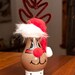 Rudolph Light Bulb Ornament
