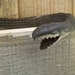 Vintage Black Snake Rubber Toy 90s Black Racer Reptile Serpent Kids Toys GVS team Vl team