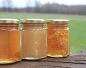 3 Raw Varieties of Honey from the Bee Hive --  All Natural Honey Sampler