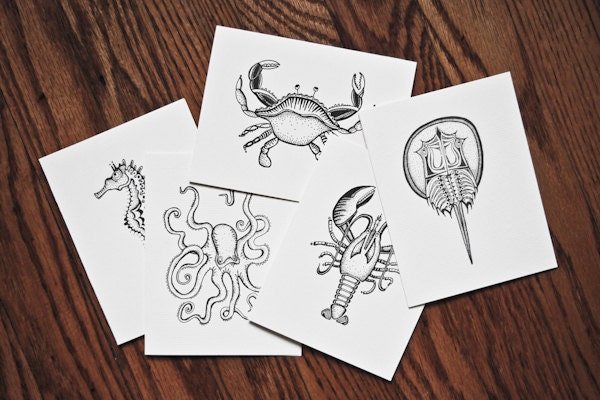 Sea Friends Letterpress Greeting Card Pack