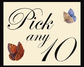 Digital downloads digital image Special offer - PICK ANY 10 images
