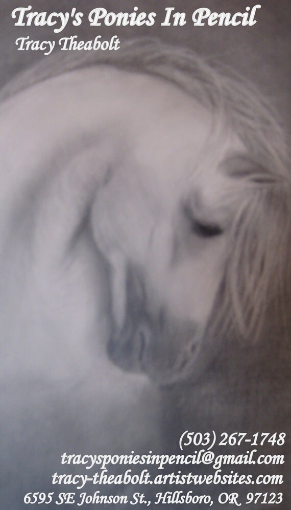 Quiet Stallion