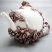Bottom Feeder Tea Pot