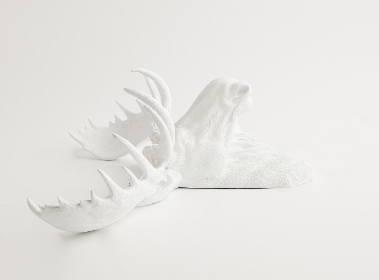 Faux Taxidermy - Spring Decorations - Celebrations - White Faux Taxidermy - The Edmonton - White Moose Head w/White Antlers