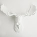 Faux Taxidermy - Spring Decorations - Celebrations - White Faux Taxidermy - The Edmonton - White Moose Head w/White Antlers