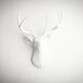 The Templeton - White Resin Deer Head- Stag Resin White Faux Taxidermy- Chic & Trendy