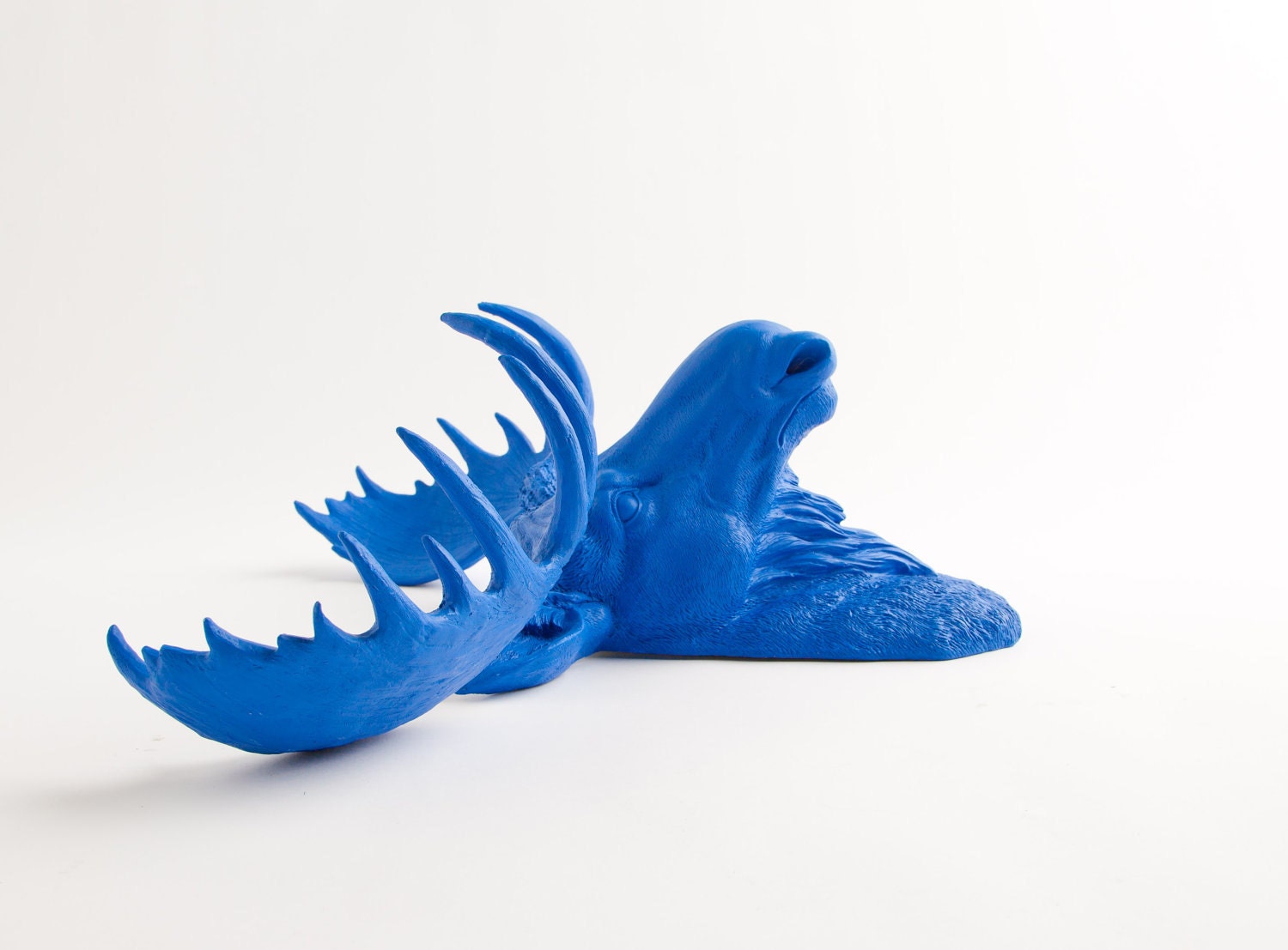 Faux Taxidermy - The Maxwell - Resin Moose Head- Moose Resin Ocean Blue Faux Taxidermy- Chic & Trendy