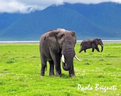 Wildlife Photography Travel Photography Two Elephants, Green, 8x10, Africa, Wall Art