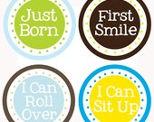 Milestone Stickers for Boys, Just Born, I can crawl, Baby's Firsts, Baby Shower Gift