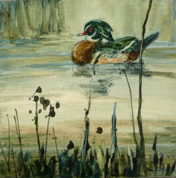Wood Duck