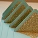 Special Order: 160 Gold Glitter liners with Pool Envelopes