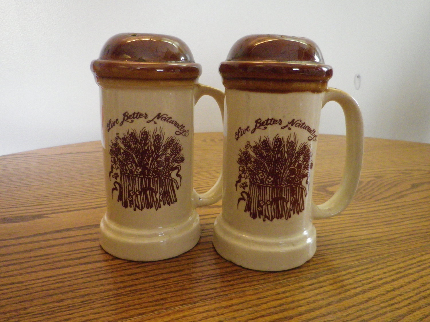 SALE 1977 Vintage Enesco Salt and Pepper Shakers