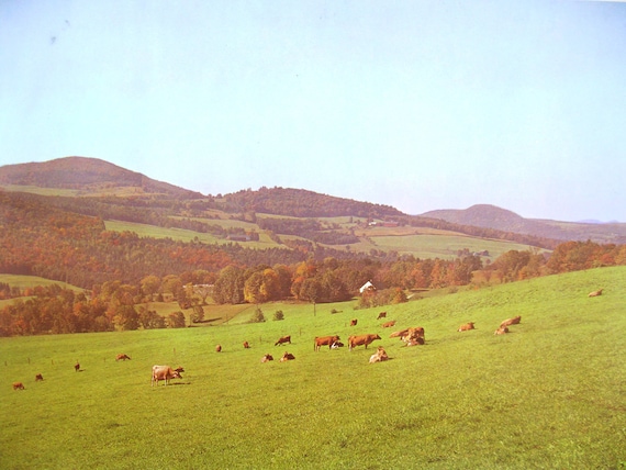 Vintage Poster Print Historic Nature and Agriculture Advertisement (Vermont) SHIPPING INCLUDED