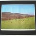 Vintage Poster Print Historic Nature and Agriculture Advertisement (Vermont) SHIPPING INCLUDED