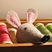 CunningandCrafty