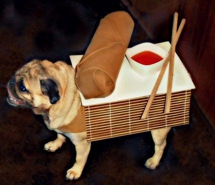 Egg Roll Dog Costume