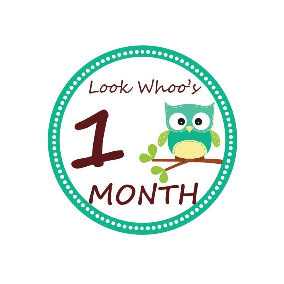 INSTANT DOWNLOAD Monthly Owl Tummy Tags - (DIY Printable Onesie Stickers) /Iron-on Transfers - Perfect for Monthly Baby Photos Il_570xn