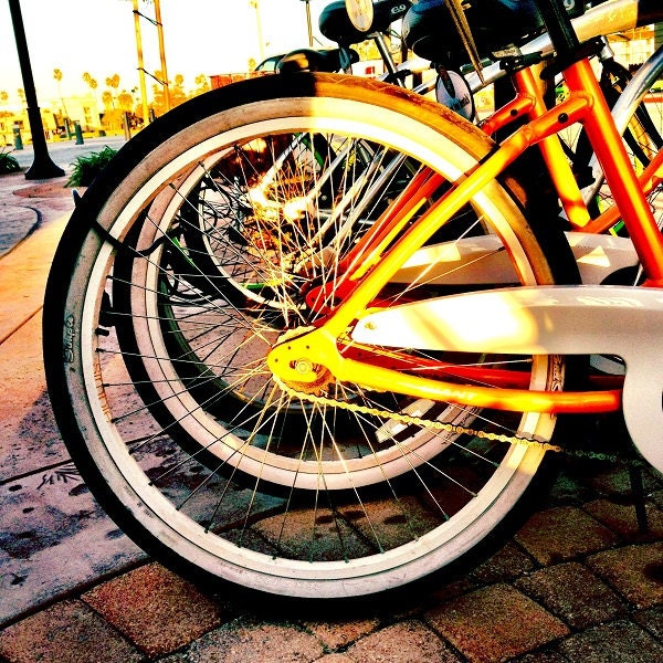 Orange Bicycles Photograph, sunset harbor, home decor, wall art, 8x8 fine art photo print