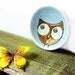 Ceramic Owl Plate Dish in Turquoise Brown and Green with Orange Beak Trinket Ring Holder